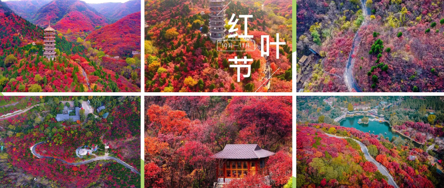 济南红叶谷.png